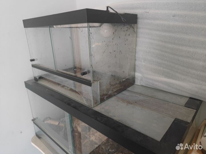 Террариум для рептилий