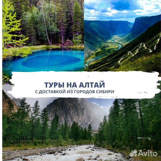 Туры в Горный Алтай с доставкой