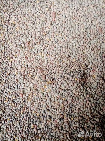 Корма для всех. Видов животных