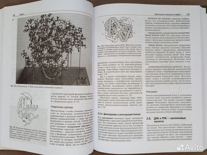 Д. Тейлор, Н. Грин, У. Стаут 