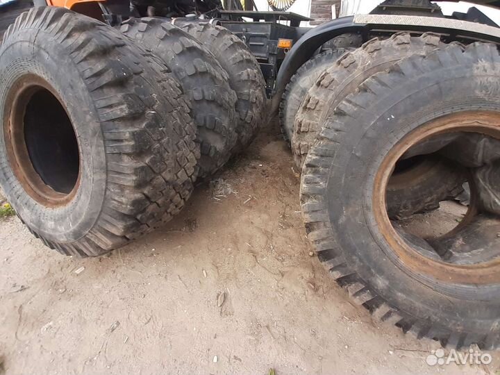 Омскшина ВИ-243 2.25/5 R5 24D