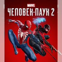 Marvels spider man: Miles Morales:steam(gift)