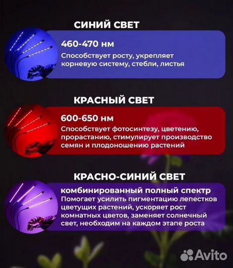Фитолампа для растений, полный спектр
