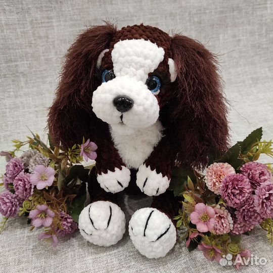 Собачка спаниель