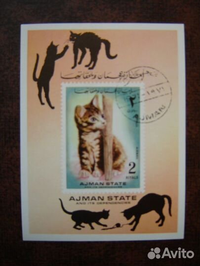 Фауна. Кошки