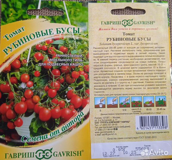 Помидоры для балкона