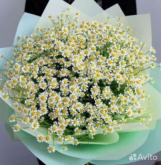 Доставка цветов. Ромашки