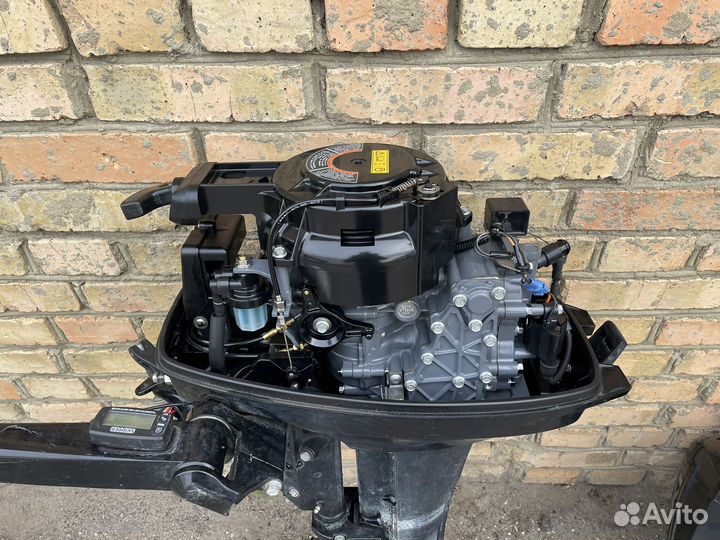 Suzuki DT9.9AS