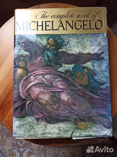 Книга Микеланджело