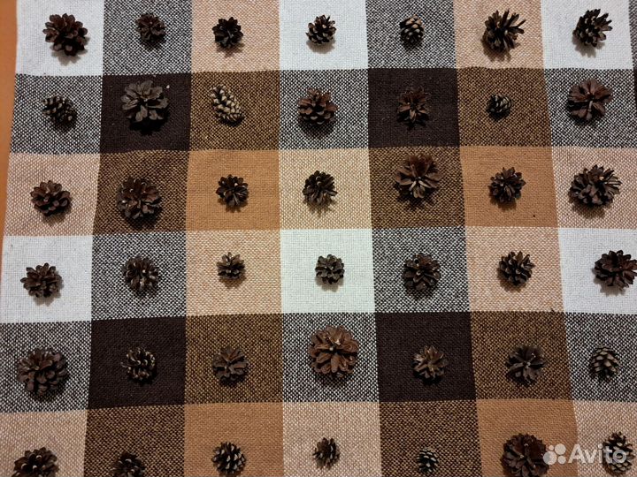 Шишки сосна