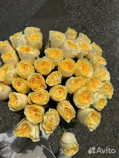 Букет из 41 пионовидной розы