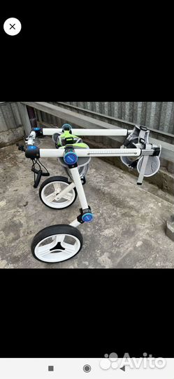 Инвалидная коляска для собак