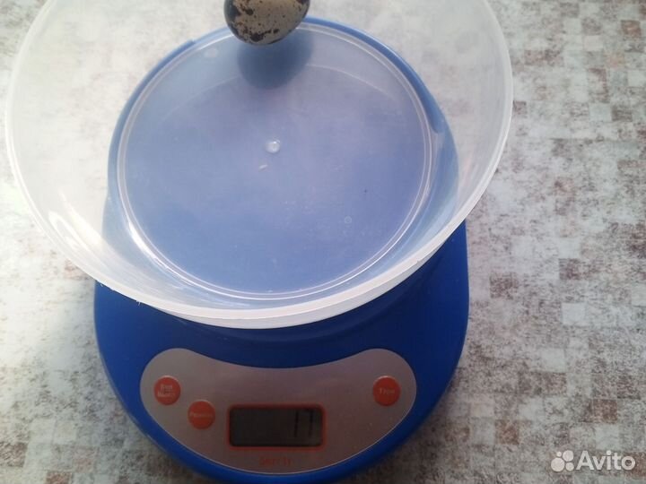 Яйца перепелиные домашние