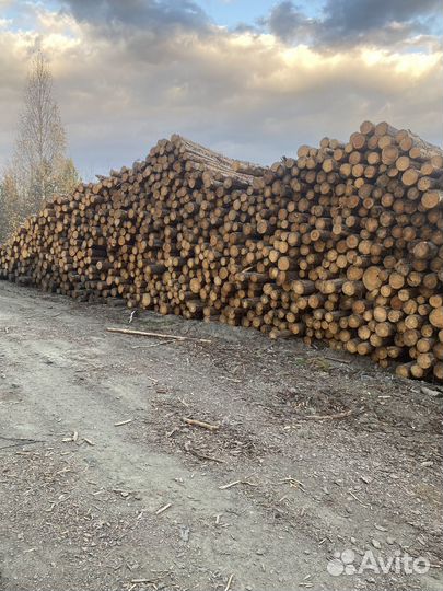 Продам лес кругляк 4 метра диметр 12-20