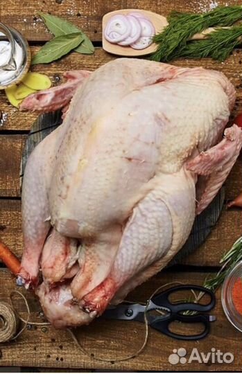 Мясо домашней индейки