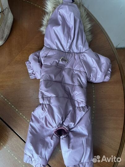 Одежда для маленьких собак