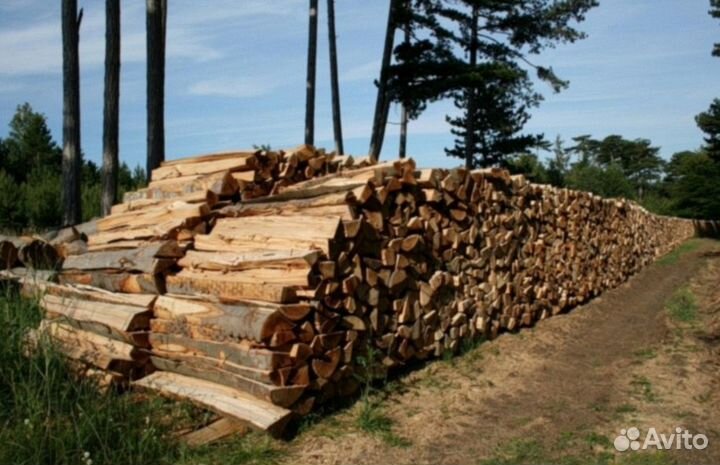 Дрова дуб