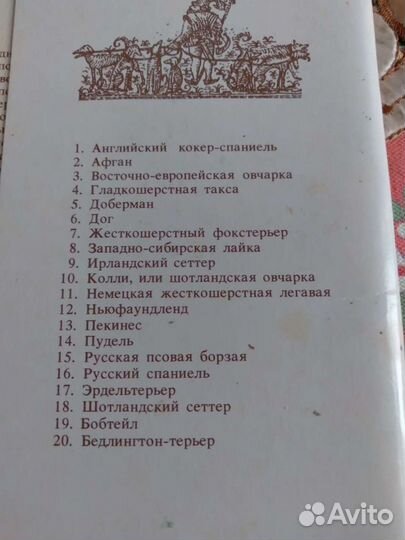 Открытки - Наши верные друзья. Породы собак