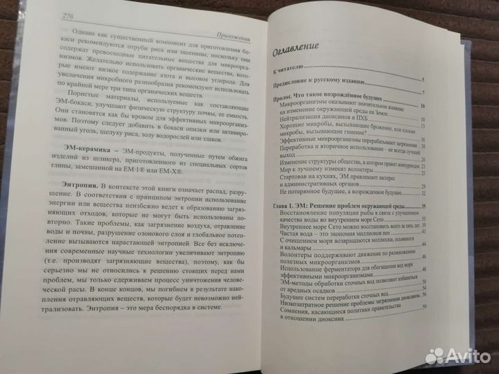 Теруо Хига. Возрожденное будущее