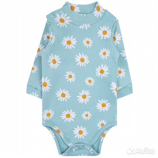 Боди кашкорсе