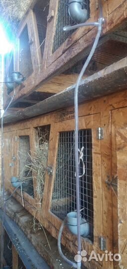 Изготовление новых клеток для кроликов на заказ