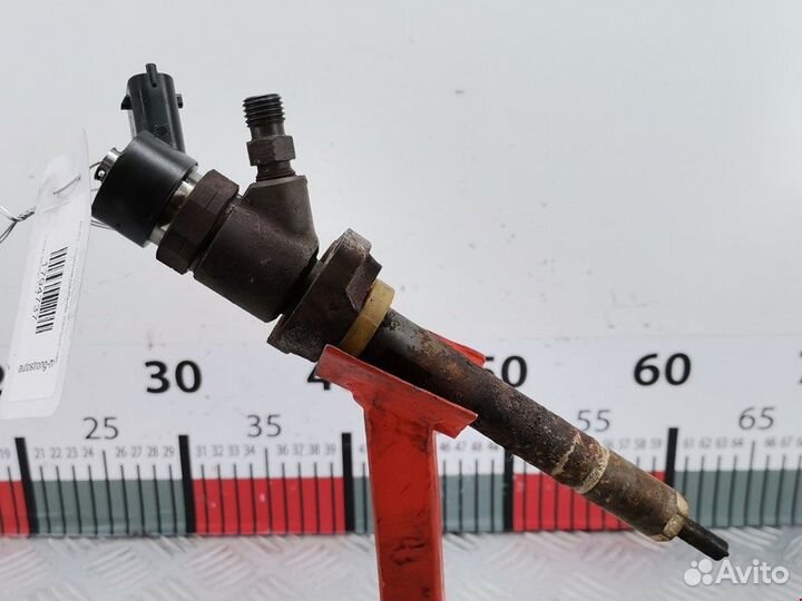 Форсунка для Peugeot-Citroen Berlingo 1