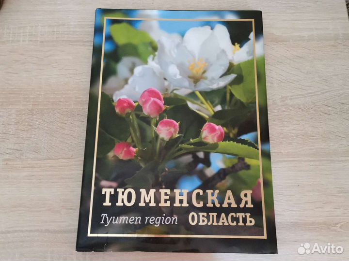 Историческая книга