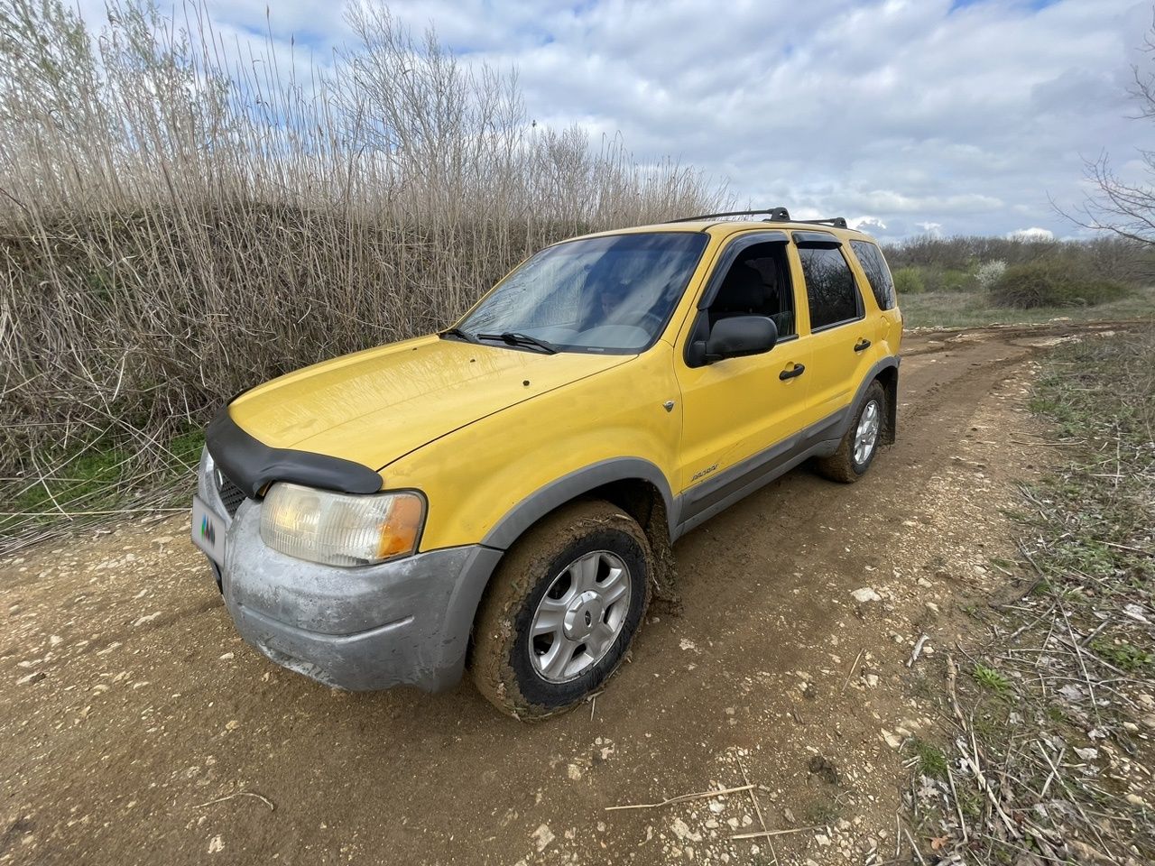 Ford Escape: фото владельца
