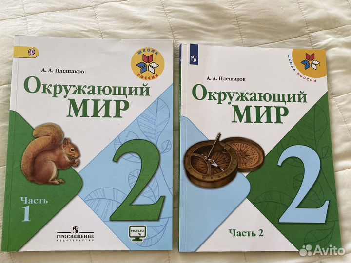 2 класс. Ответы учебника окружающий мир 3 класс. Окружающий мир 3 класс 146-147. Ответы учебника окружающий мир 3 класс. Ответы учебника окружающий мир 3 класс.