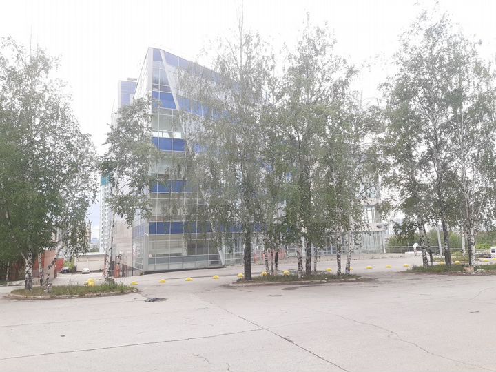 Торговая площадь 1537 м²