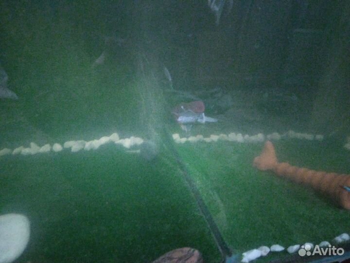 Коврики для аквариумов любых размеров