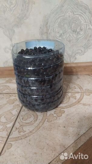 Продам ягоды Черная смородина и Вишня цена за тару