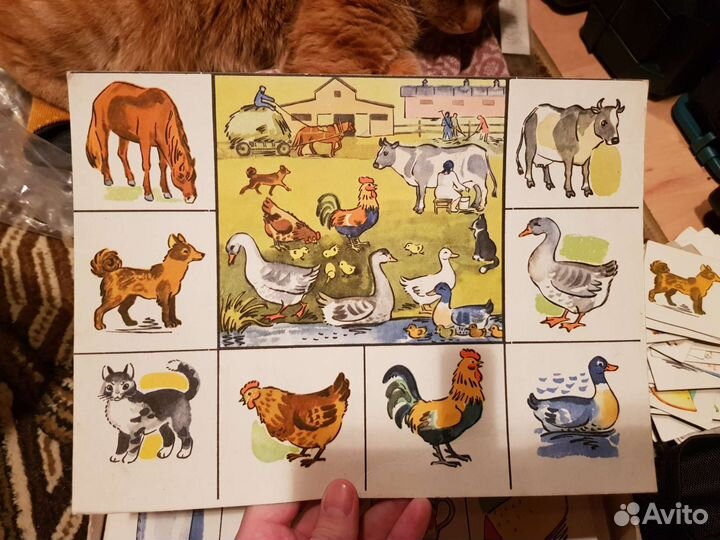 Лото на четырех языках 