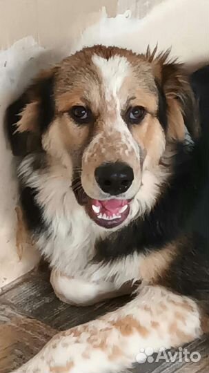 Жду своего человека