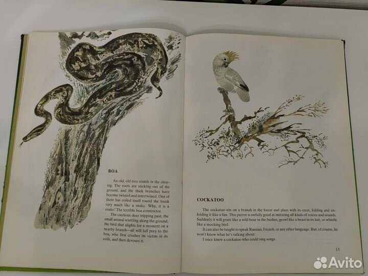 Книга о животных на англиском языке