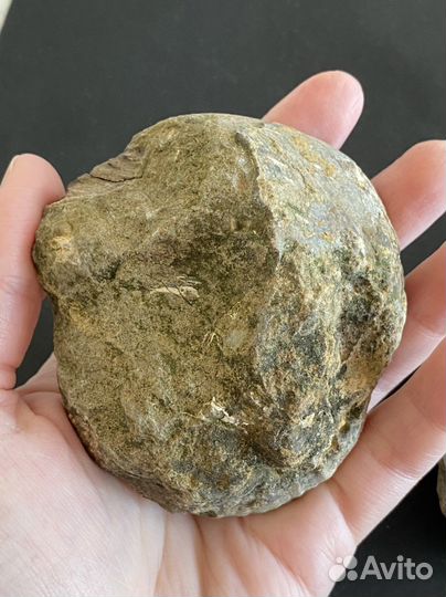 Аммонит редкий 8,4*7,7 см окаменелость минерал