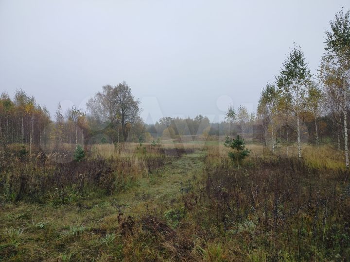 Участок 50 сот. (ИЖС)