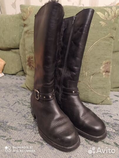 Сапоги Белвест