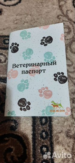 Щенки немецкой овчарки