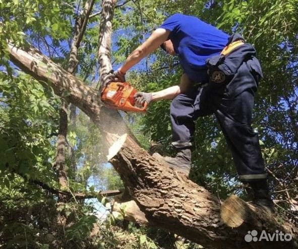 Расчистка участка и демонтажные работы