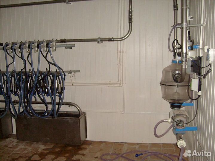 Молокопровод на 200 голов для доения крс