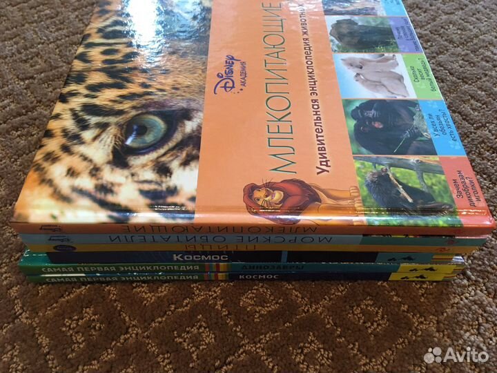 Детские мини энциклопедии