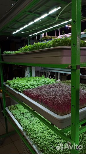Оборудование для выращивания растений Бизнес