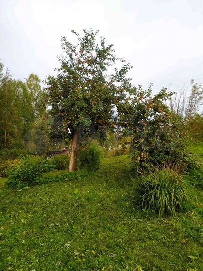 Участок 5,5 сот. (СНТ, ДНП)