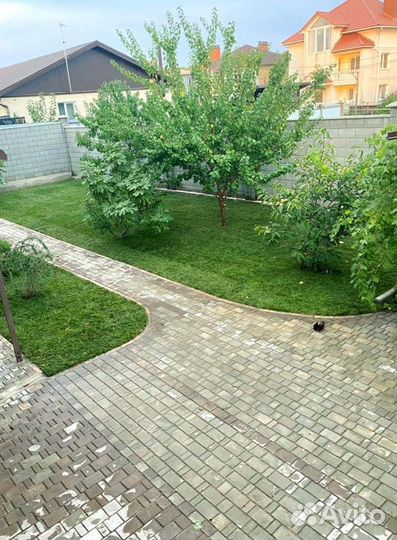 Газон в рулоне