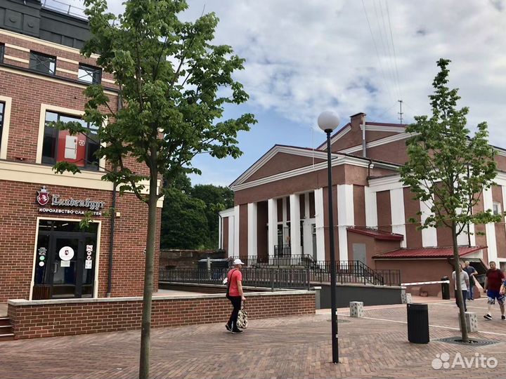 Помпа бензиновая компактная для полива