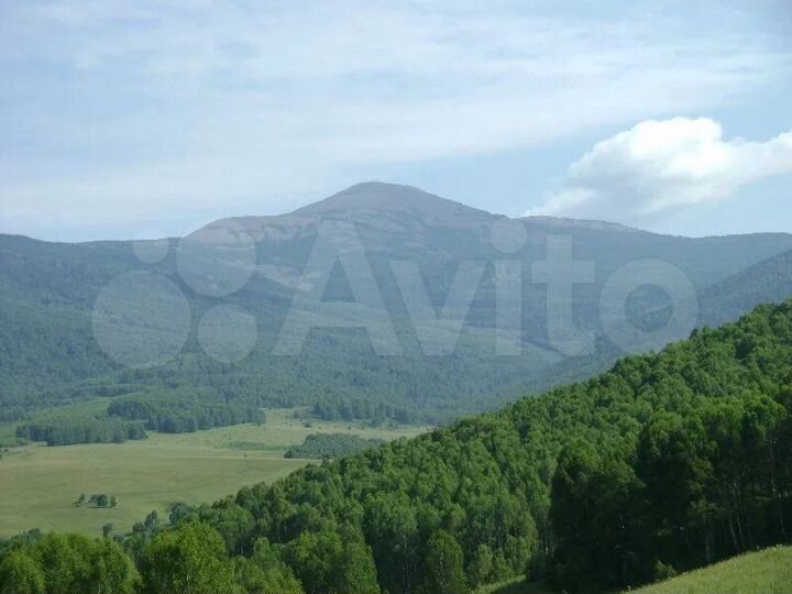 Участок 75,9 га (СНТ, ДНП)