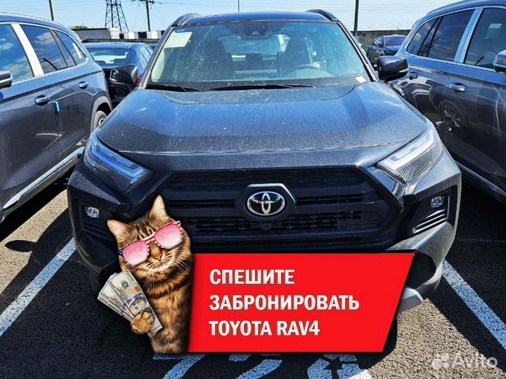 Toyota RAV4 2.0 CVT, 2024