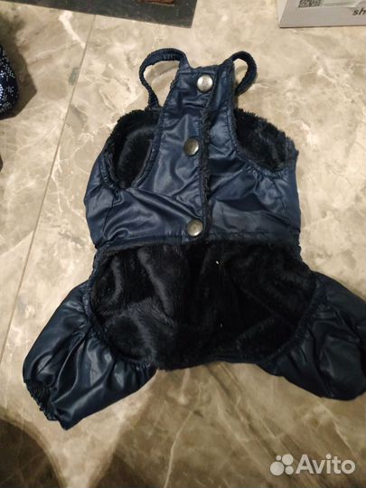 Продаю верхнюю одежду на маленькую собачку