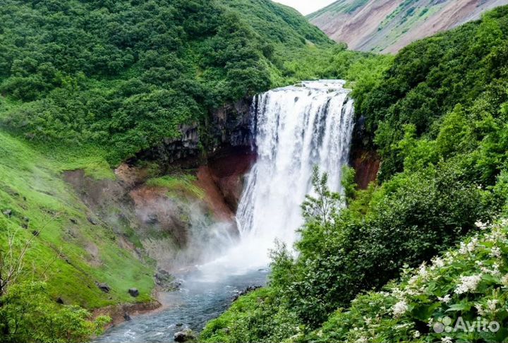 Турне на Kamchatku на 7 дн
